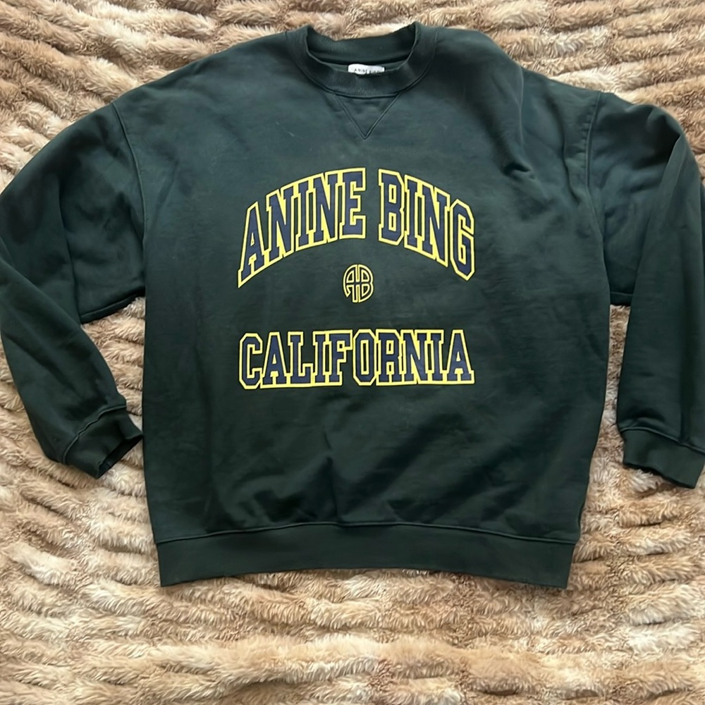 Excellent condition AB Anine Bing Green Sweatshirt M